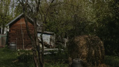 Жамбыл облысы Қордай ауданындағы Қаракемер ауылында екі жасөспірімнің мәйіті табылды, деп хабарлайды Zakon.kz., сурет - Zakon.kz жаңалық 15.04.2026 16:36