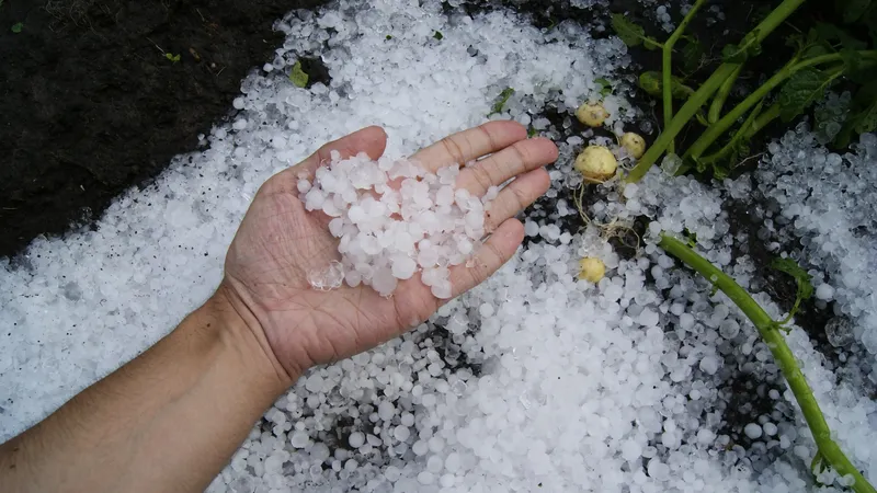 Алматыда қар мен бұршақ жауады: синоптиктер қауіпті ауа райын болжады