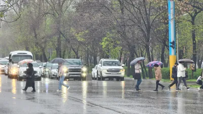 Нөсер жауынға жедел әрекет ету мақсатында 2,7 мыңнан астам жұмысшы мен арнайы техника жұмылдырылды, сурет - Zakon.kz жаңалық 16.04.2026 09:26