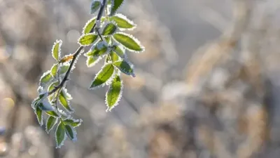 Қазақстанның 15 өңірінде ауа райы күрт нашарлайды: дауылды ескерту жарияланды, сурет - Zakon.kz жаңалық 17.04.2026 22:47
