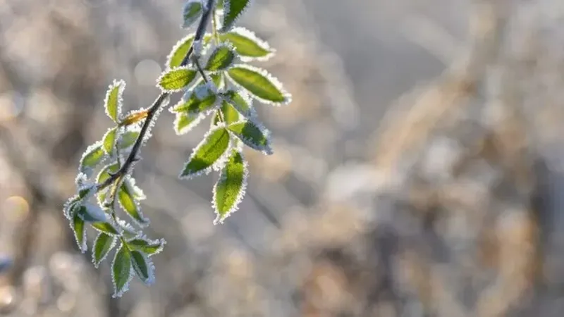 Қазақстанның 15 өңірінде ауа райы күрт нашарлайды: дауылды ескерту жарияланды