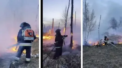 СҚО-да 7,7 гектар орман алқабы өртеніп кетті , сурет - Zakon.kz жаңалық 19.04.2026 10:48
