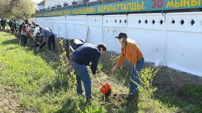 Сыр өңірінде "Тағзым орны таза болсын, рух пен тазалық – егіз ұғым" атты жалпыхалықтық тазалық акциясы өтті, сурет - Zakon.kz жаңалық 19.04.2026 16:25