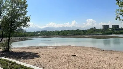 Алматыдағы Сайран көлі суға тола бастады – фоторепортаж, сурет - Zakon.kz жаңалық 20.04.2026 18:21