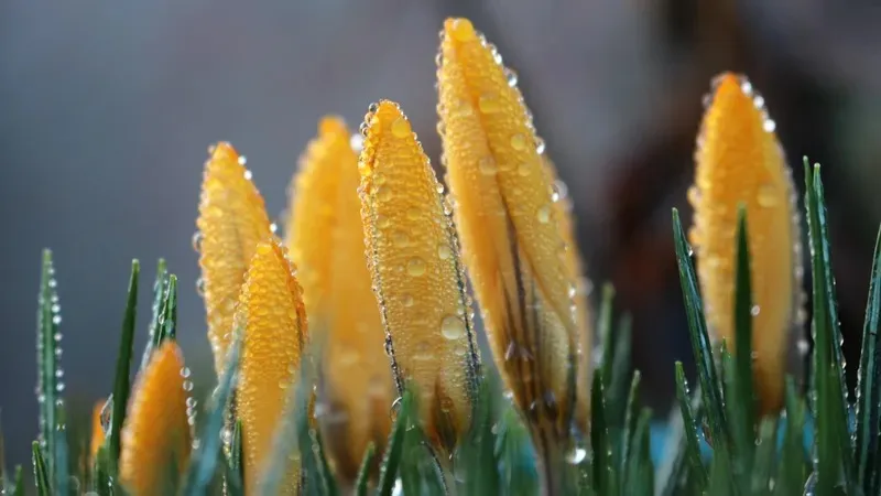 21 сәуірде Қазақстан бойынша қандай ауа райы күтіледі