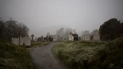 Нью-Йорктегі зират астынан 5,6 миллионға жуық тіршілік иесі табылды, сурет - Zakon.kz жаңалық 20.04.2026 09:44