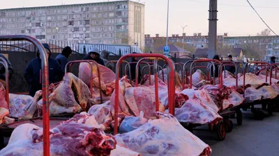 Елордада әлеуметтік маңызы бар азық-түлік бағасына бақылау күшейді, сурет - Zakon.kz жаңалық 20.04.2026 22:19