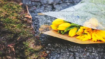 Қазақстанның 10 өңірінде ауа райы күрт нашарлайды: дауылды ескерту жарияланды, сурет - Zakon.kz жаңалық 21.04.2026 20:44