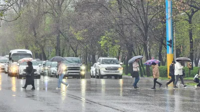 Алматыда жауын-шашын мен найзағайға байланысты коммуналдық қызмет жоғары дайындық режиміне көшірілді. Бұл жөнінде қалалық коммуналдық инфрақұрылым және тұрғын үй инспекциясы басқармасының өкілдері хабарлады., сурет - Zakon.kz жаңалық 23.04.2026 14:31