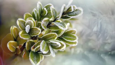 Синоптиктер қай өңірлерде үсік жүретінін атады , сурет - Zakon.kz жаңалық 23.04.2026 18:41