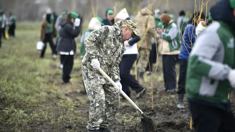 Таза Қазақстан: 1000 түп ағаш көшеті отырғызылды