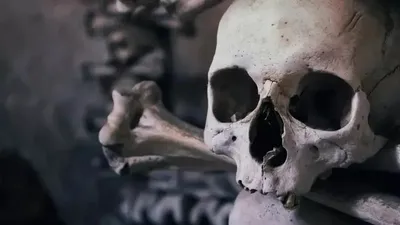 ШҚО-да зират үстінен салынып жатқан аурухана жұртты шулатты, сурет - Zakon.kz жаңалық 25.04.2026 10:14