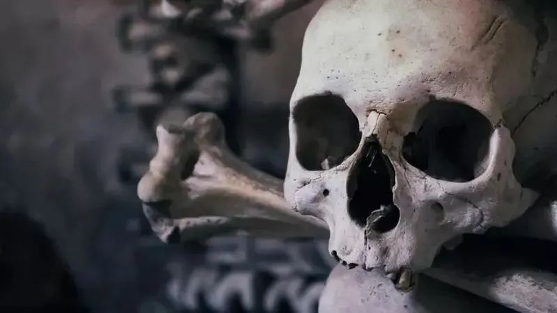 ШҚО-да зират үстінен салынып жатқан аурухана жұртты шулатты