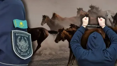 Қазақстан шекарасында малды заңсыз әкету әрекеті тоқтатылды, сурет - Zakon.kz жаңалық 27.04.2026 19:14