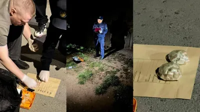 Өңірде полиция қызметкерлері жүргізген жедел іс-шаралар нәтижесінде ірі есірткі арнасы әшкереленді. Жергілікті тұрғын ұсталды. , сурет - Zakon.kz жаңалық 28.04.2026 09:54