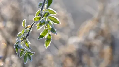 29 сәуірде Қазақстанның қай өңірлерінде дауылды ескерту жарияланды , сурет - Zakon.kz жаңалық 28.04.2026 20:56