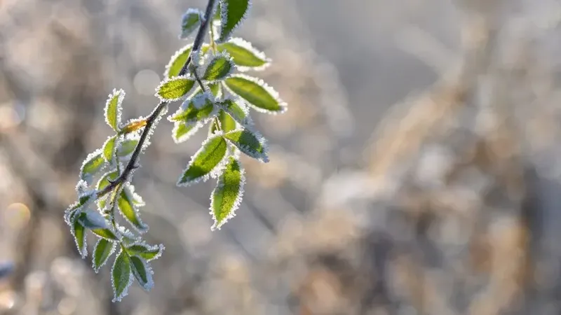 29 сәуірде Қазақстанның қай өңірлерінде дауылды ескерту жарияланды