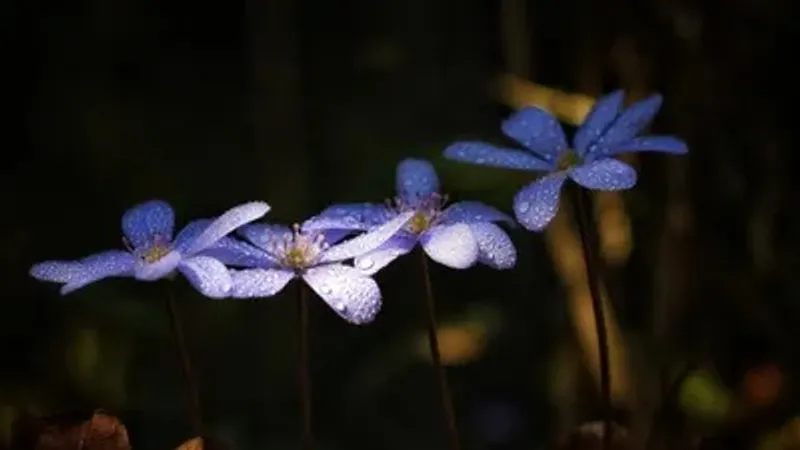 Найзағай ойнап, жаңбыр жауады: 30 сәуірде Қазақстанда ауа райы күрт нашарлайды