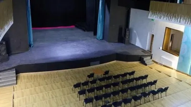 Өзбекстан президентінің қызы жергілікті театрлардың жағдайын сынға алды