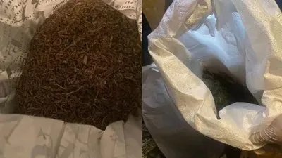 Көкшетауда мотоцикл жүргізушісінен ірі көлемде есірткі тәркіленді , сурет - Zakon.kz жаңалық 03.05.2026 12:59