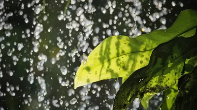 5 мамырда Қазақстанның басым бөлігінде дауылды ескерту жарияланды, сурет - Zakon.kz жаңалық 04.05.2026 20:55