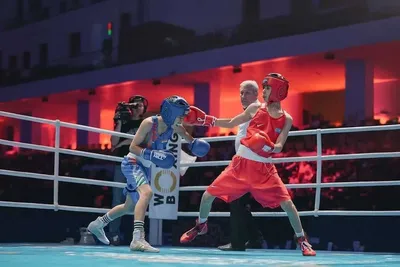 Қазақстандық боксшылар U15 санатындағы Азия чемпионатында 24 медаль жеңіп алды, сурет - Zakon.kz жаңалық 15.05.2026 18:20