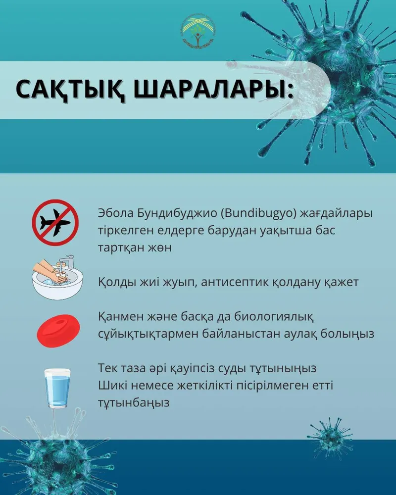 Эболаның қайта өршуіне байланысты Денсаулық сақтау министрлігі шұғыл ескертпе таратты , сурет - Zakon.kz жаңалық 20.05.2026 13:59