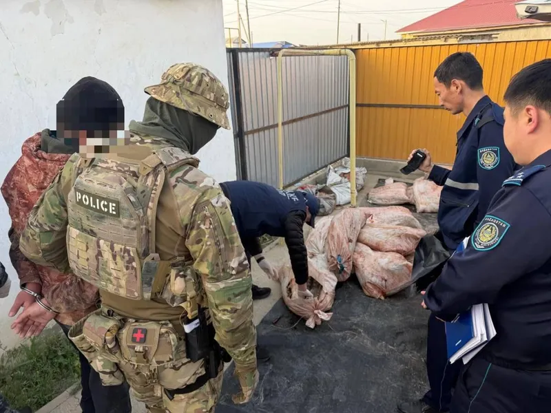 Атырау облысында полиция бекіре тұқымдас балықтардың заңсыз айналымының жолын кесті, сурет - Zakon.kz жаңалық 23.05.2026 17:50