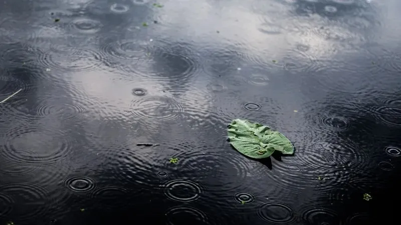 Жаңбыр суы, Ақтөбе, жаңбыр, көше, көлшік, сурет - Zakon.kz жаңалық 08.06.2026 21:57