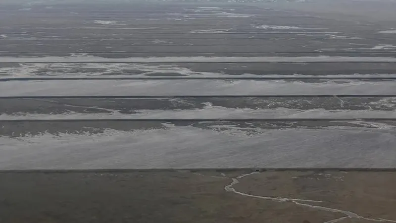 Өзен, Сырдария, Қызылорда, жоғалған қыз, қайғылы оқиға, сурет - Zakon.kz жаңалық 08.06.2026 19:45