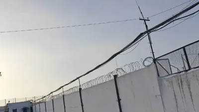 Түрме, Алматы облысы, ұйымдасқан қылмыстық топ, сот үкімі