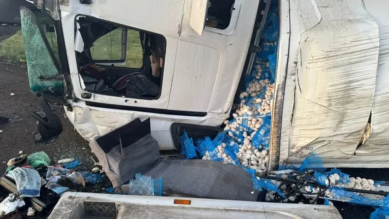Ақмола облысында 17 тонна саңырауқұлақ тиеген жүк көлігі аударылып қалды, сурет - Zakon.kz жаңалық 18.06.2026 19:35