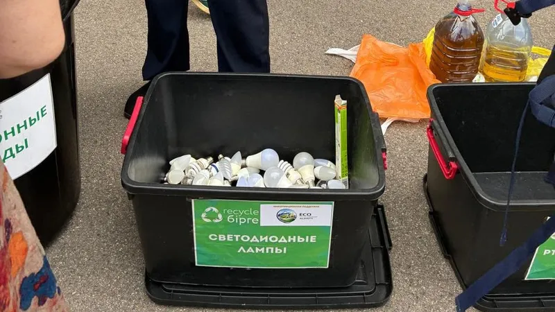 Қалалық Recycle Бірге экологиялық акциясы аясында алматылықтар қауіпсіз кәдеге жарату үшін құрамында сынабы бар 608 шам тапсырды. , сурет - Zakon.kz жаңалық 22.06.2026 12:12