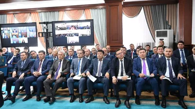 Мәжіліс, Қызылорда облысы, Мемлекет басшысы, тапсырма, Мұрат Ергешбаев