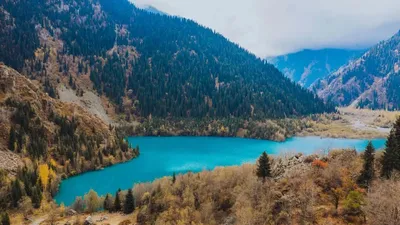 Тау, ТЖМ, сел, қауіпсіздік ережелері 