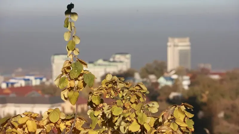 Алматы, Алматы облысы, ауа райы болжамы, 4 шілде, 5 шілде, 6 шілде, 7 шілде, 8 шілде, 9 шілде, 10 шілде, сурет - Zakon.kz жаңалық 04.07.2026 09:58