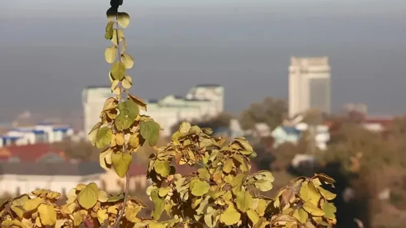 Алматы, ауа райы болжамы, 11 шілде, 12 шілде, 13 шілде, 14 шілде, 15 шілде, 16 шілде, 17 шілде, сурет - Zakon.kz жаңалық 11.07.2026 09:45