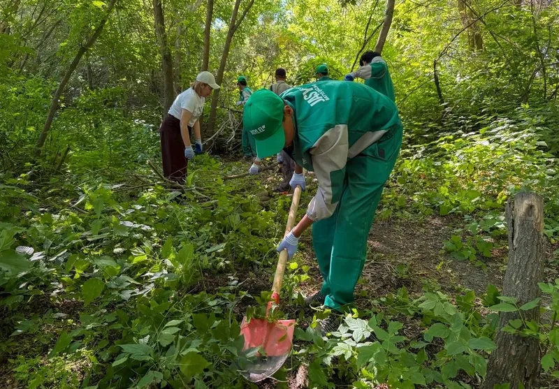 Мөлдір бұлақ, БҚО, республикалық тазалық акциясы , сурет - Zakon.kz жаңалық 11.07.2026 13:57