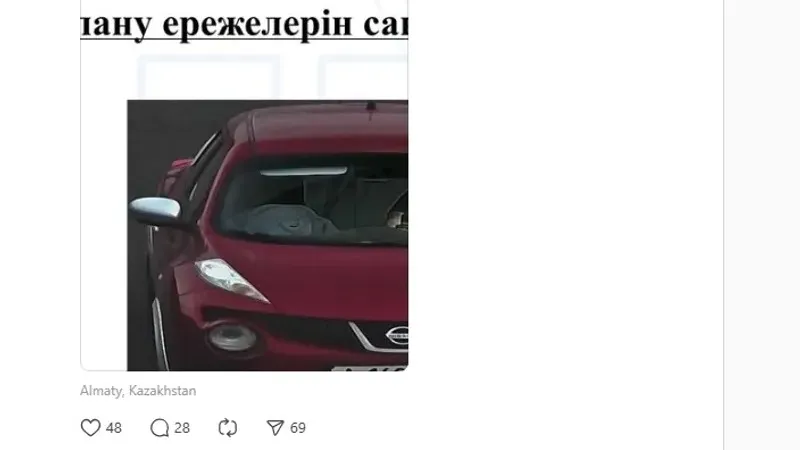 Айыппұл, Алматы, жылтыр пакет, қауіпсіздік белдігі, сурет - Zakon.kz жаңалық 15.07.2026 17:36