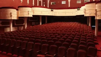 Сахна, Корея, Эльдар Сапарбаев, виолончелист