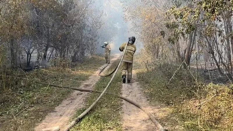 Өрт, Орал, Хан тоғайы