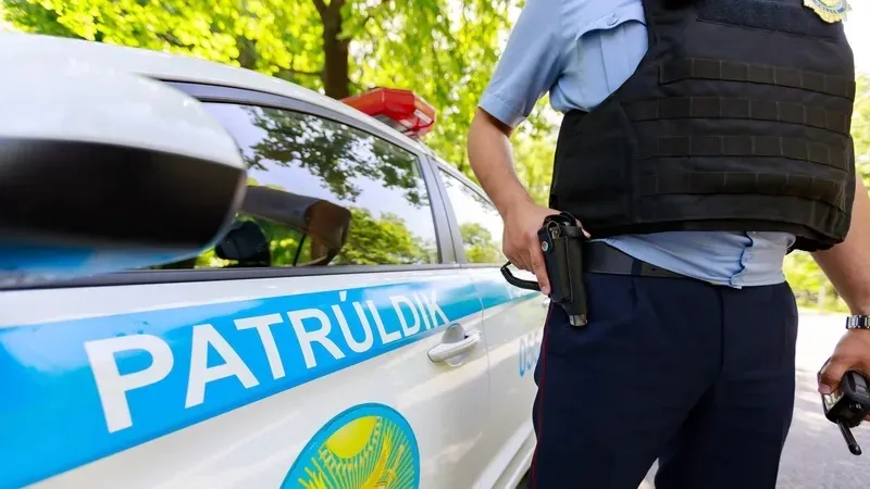 Полиция, танымал әнші, көлік, қауіпсіздік белдігі, Мөлдір Әуелбекова