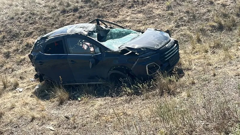 Кроссовер жол жиегіндегі орға аударылып кетті: Қостанай облысында адам өліміне әкелген жол апаты болды
