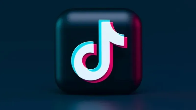 TikTok, тікелей эфир, Тараз, ер адам, Тау адам, балағат сөз, қамауға алу, сурет - Zakon.kz жаңалық 08.08.2026 09:25