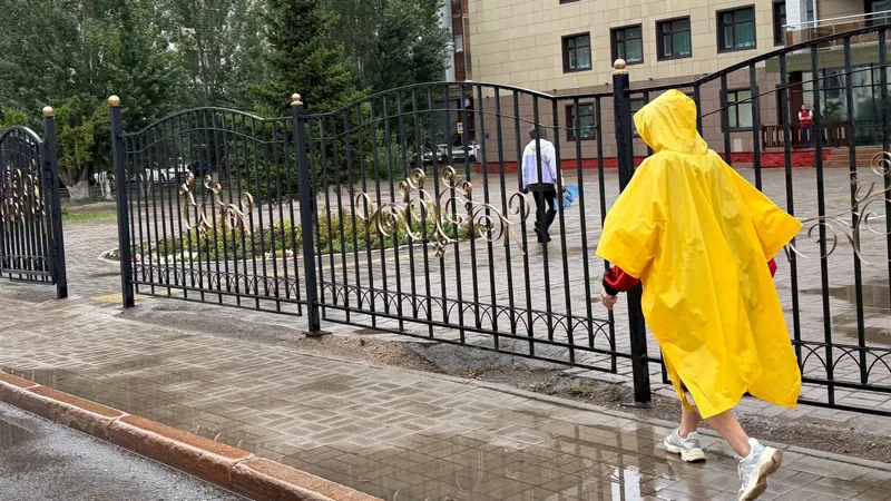 Құрылтай, дауыс беру