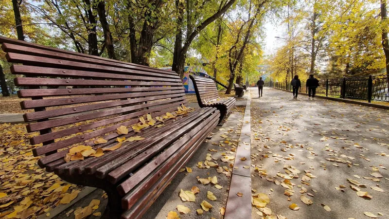күз Алматы , сурет - Zakon.kz жаңалық 26.08.2026 15:34