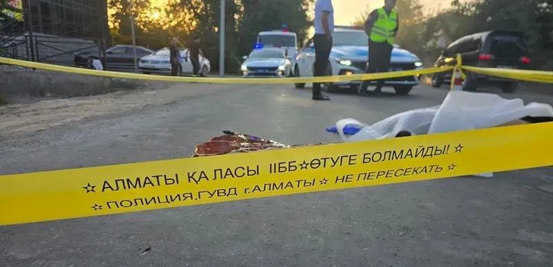 Алматы мен Алматы облысының шекарасында жаяу жүргіншіні көлік қағып өлтірді, сурет - Zakon.kz жаңалық 29.08.2026 11:01