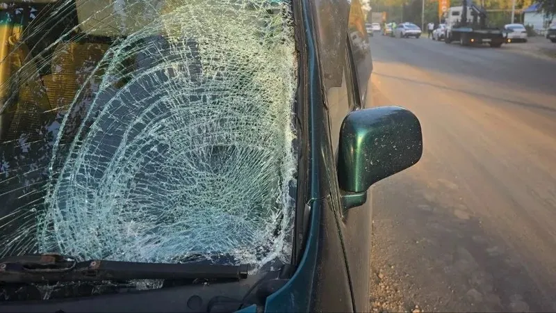 Алматы мен Алматы облысының шекарасында жаяу жүргіншіні көлік қағып өлтірді, сурет - Zakon.kz жаңалық 29.08.2026 11:01
