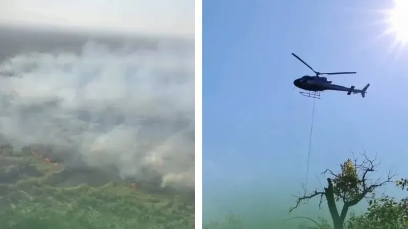 Орман өрті әлі де өршіп тұр: Қазақстанның қай өңірлерінде жалынды сөндіру жұмыстары жалғасуда, сурет - Zakon.kz жаңалық 07.09.2026 09:14