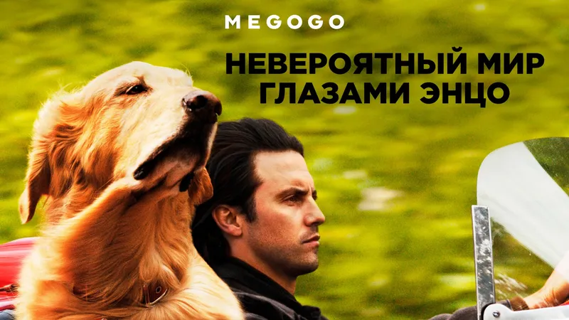 Кино, MEGOGO, отбасы, сурет - Zakon.kz жаңалық 23.09.2026 22:02